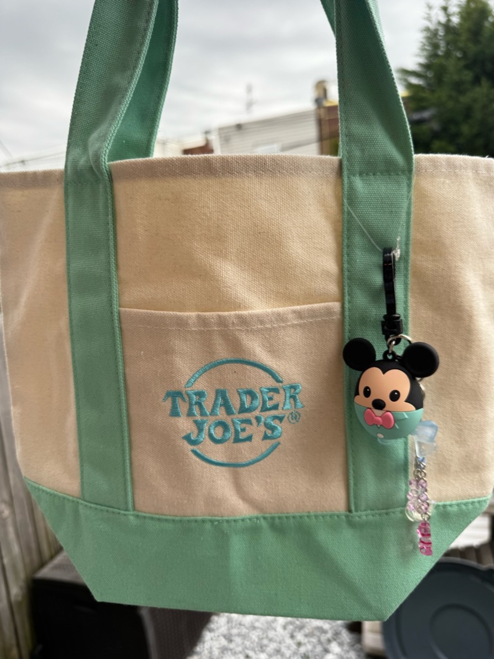 BNWT Trader Joe’s 2025 Mini Tote
